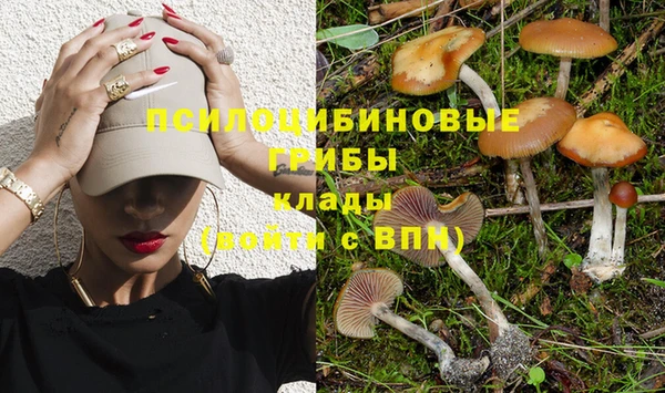 мяу мяу мука Аркадак