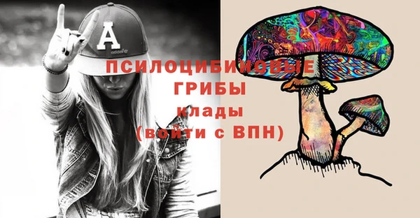 мяу мяу мука Аркадак