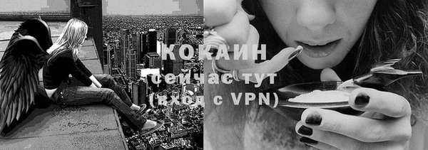 мяу мяу мука Аркадак