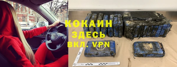 мяу мяу мука Аркадак