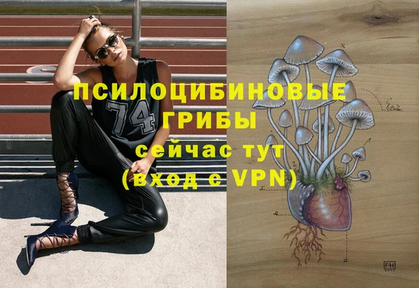 мяу мяу мука Аркадак