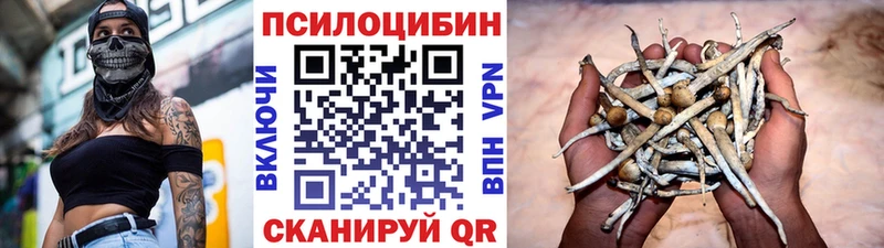 дарнет шоп  Петровск-Забайкальский  Галлюциногенные грибы Magic Shrooms 
