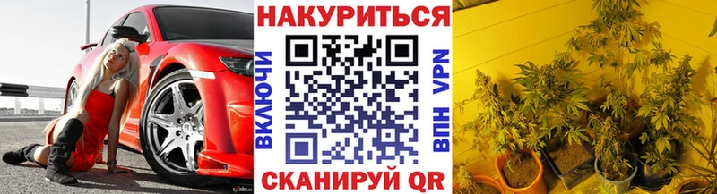 Канабис White Widow купить наркоту Петровск-Забайкальский